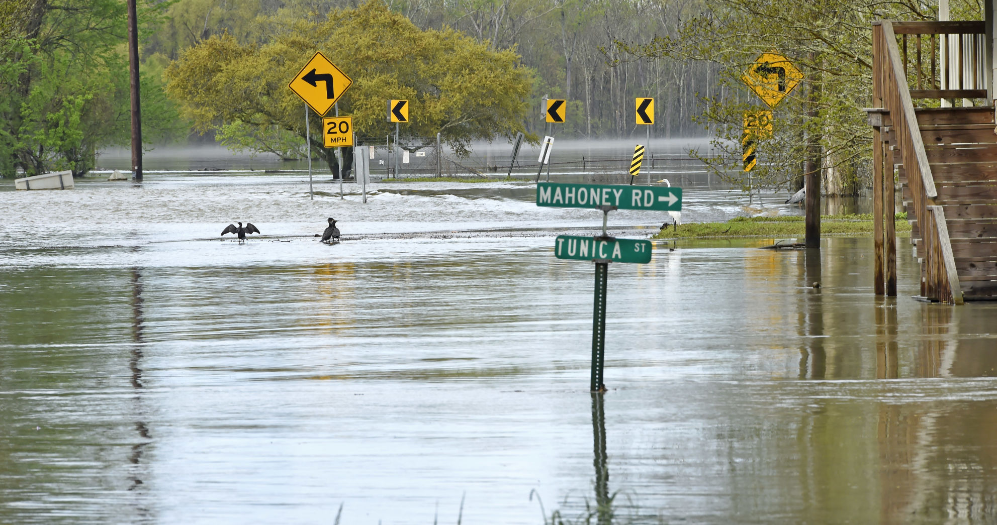 BR.efelicianaflooding0167.032619 bf.jpg